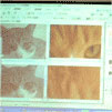 猫の写真を使い解像度と画質の違いを比較した画面